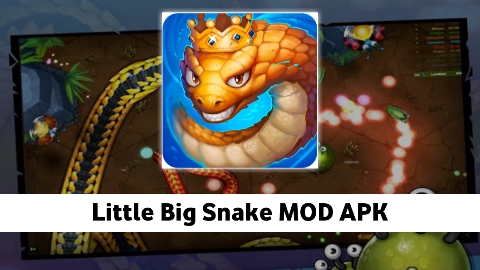 Little Big Snake MOD APK